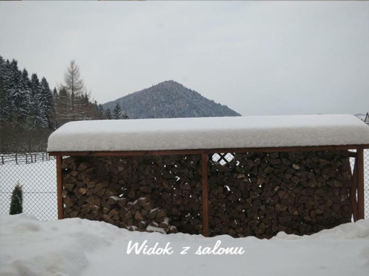 Nasze Pieniny Apartment Szczawnica Ngoại thất bức ảnh